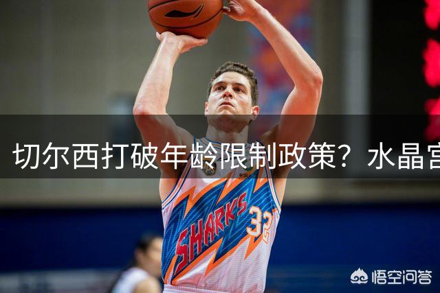 切尔西打破年龄限制政策？水晶宫铁卫成引援新目标